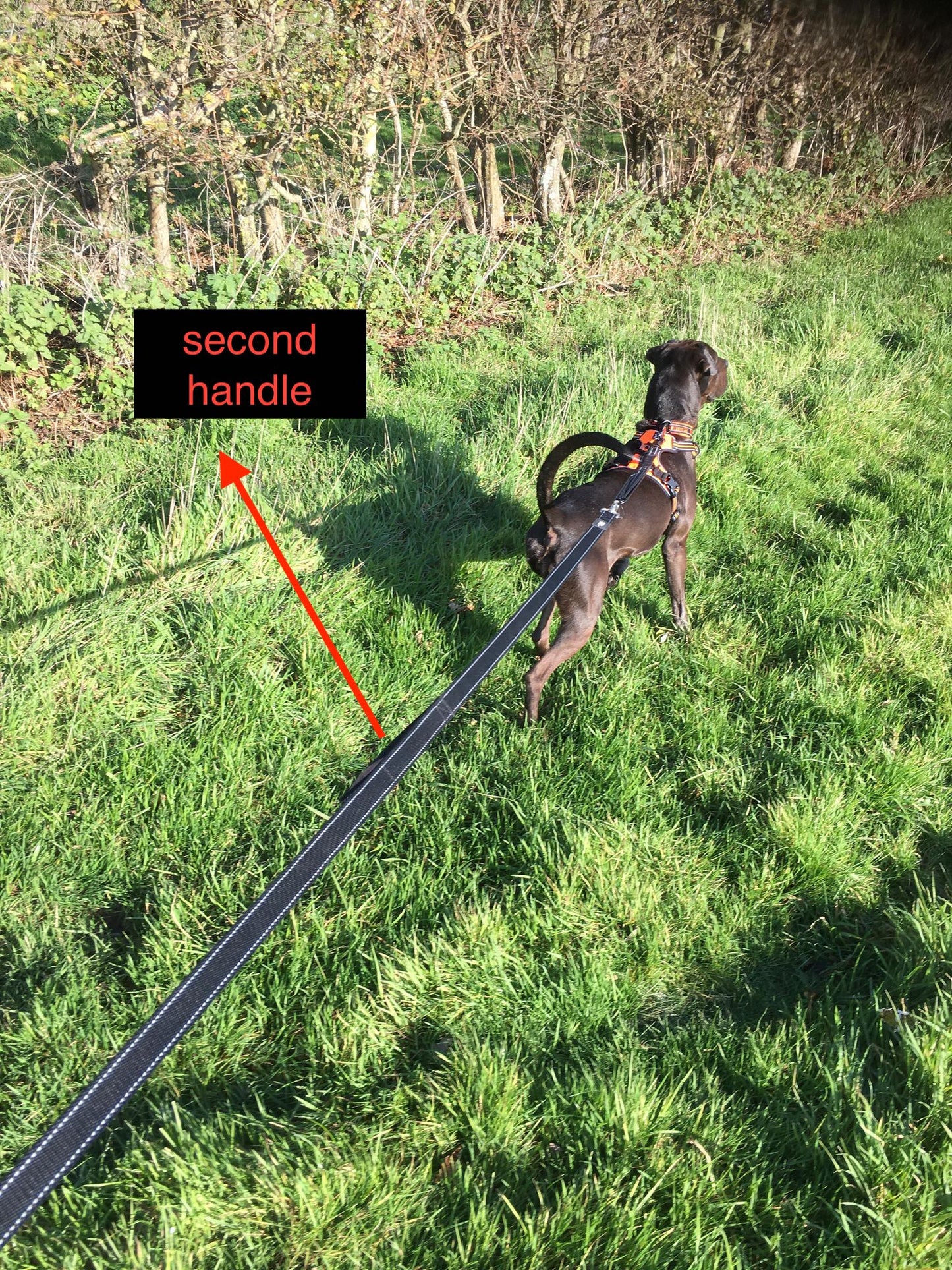 210cm length Double Handle Lead