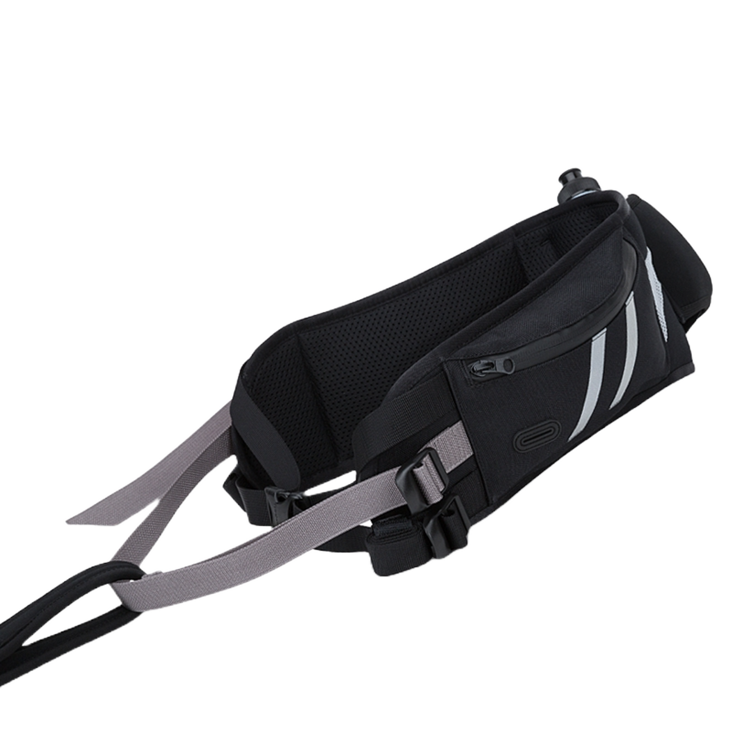 Dog Walking Belt