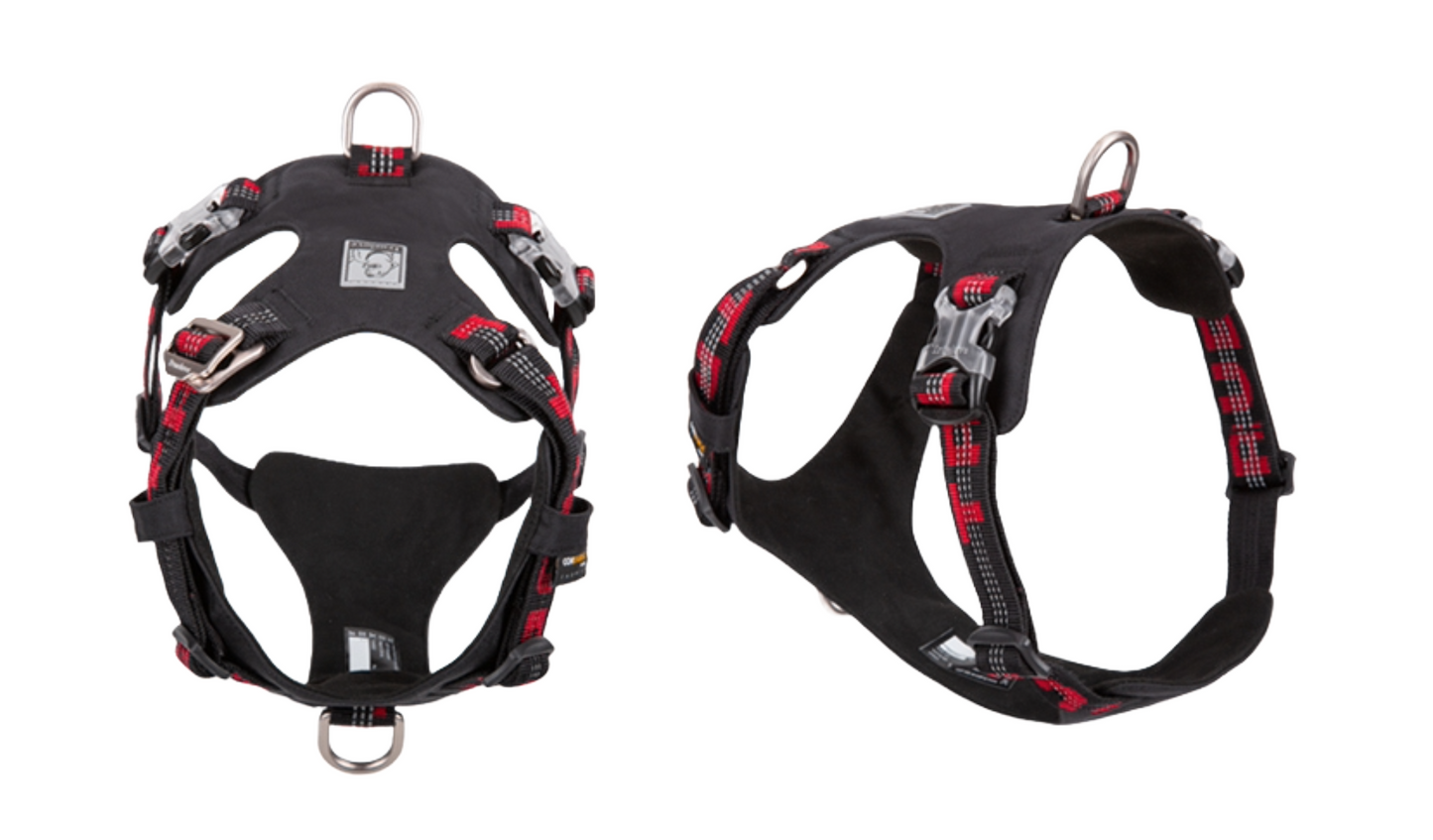 Lightweight Y shaped Butterfly Harness