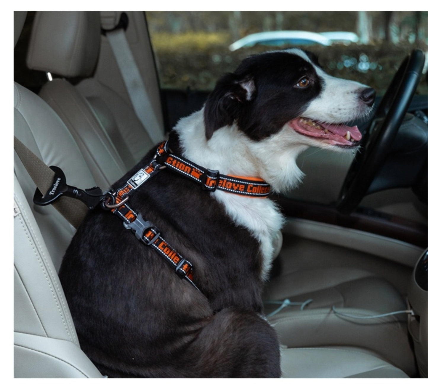 Seat Belt safety Lock