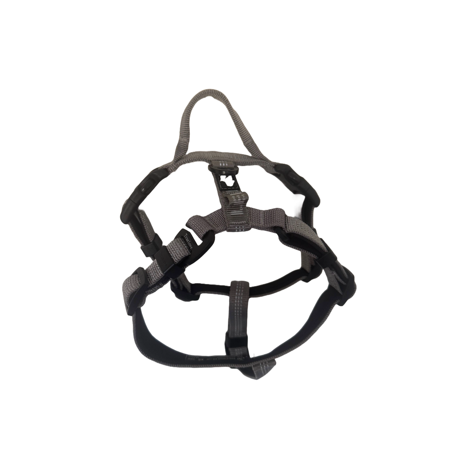 Light reflective harness with neck opening