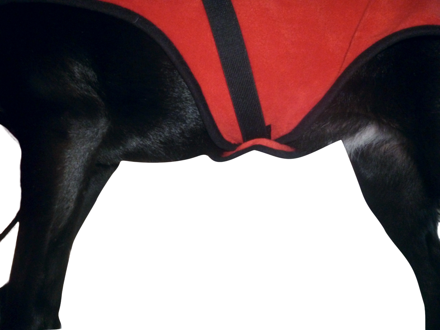 A.A.A. Indoor Drying coats