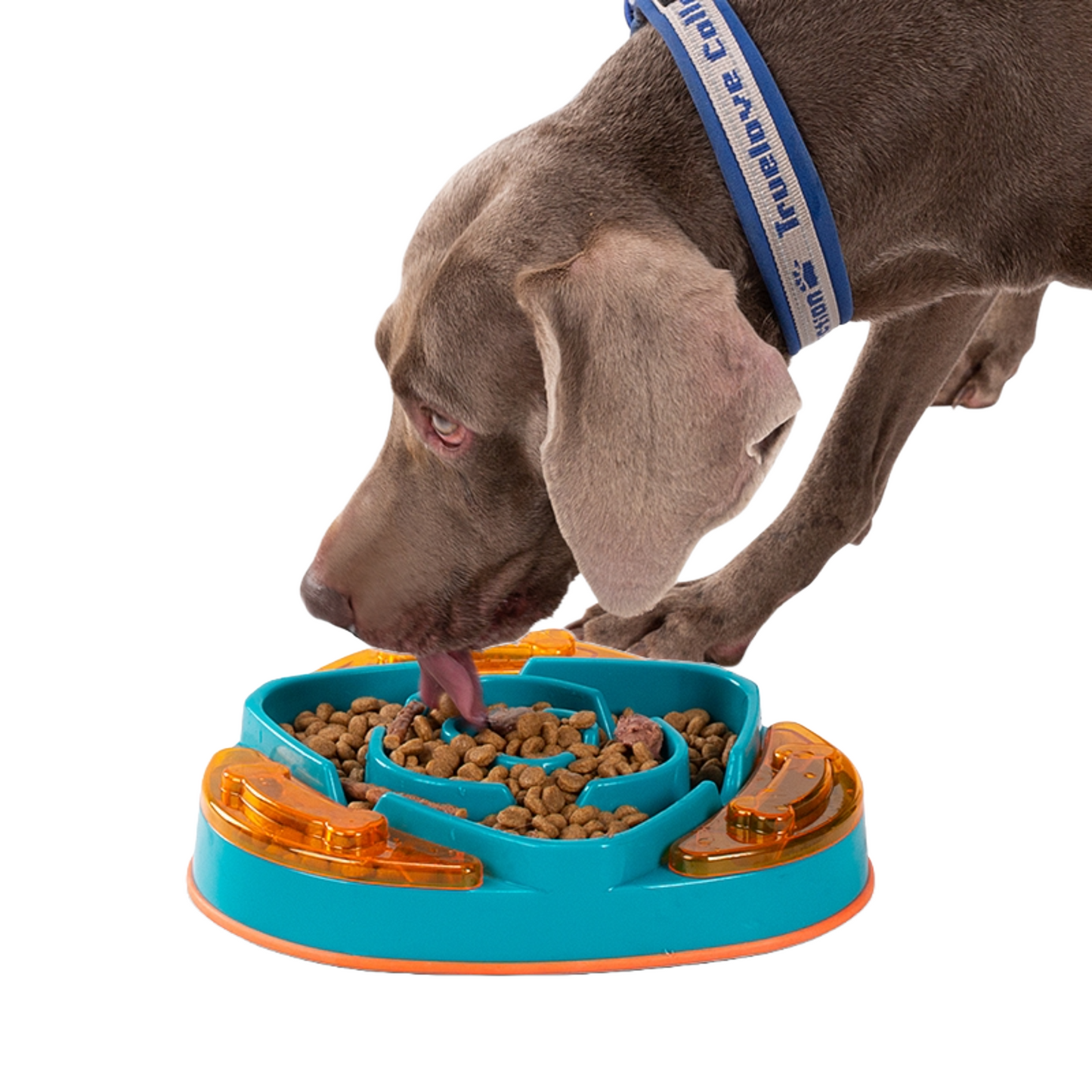 Truelove Slow Feeder with Treat Hiding Chambers