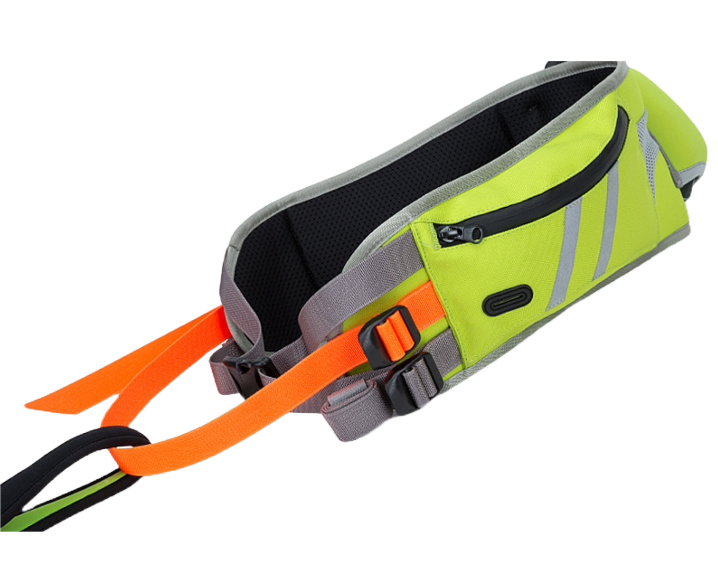 Dog Walking Belt