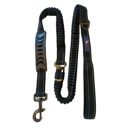 A.A.A. Bungee  Lead with Seat Belt Clip