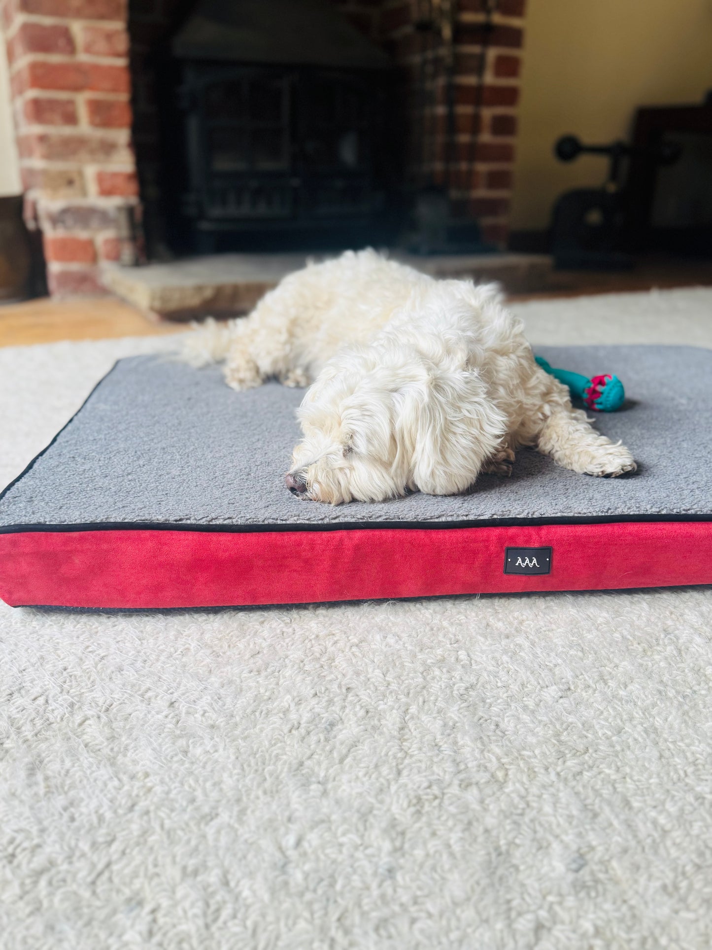Memory Foam Dog  Bed With Water Resistant Mattress Cover