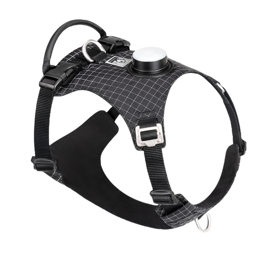 Dog Harness with LED light and tracker holder