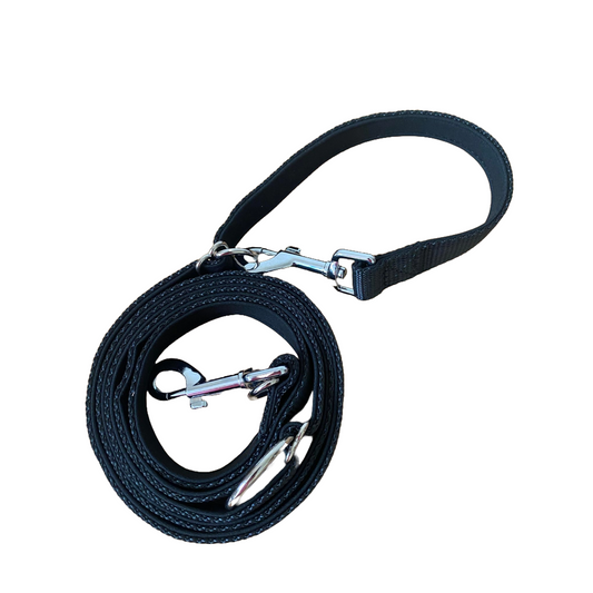 A.A.A. Double clip Training lead with movable rings