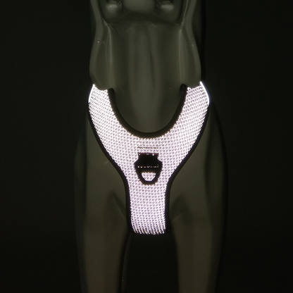 Cat Eye Light reflective harness