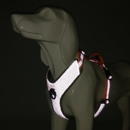 Cat Eye Light reflective harness