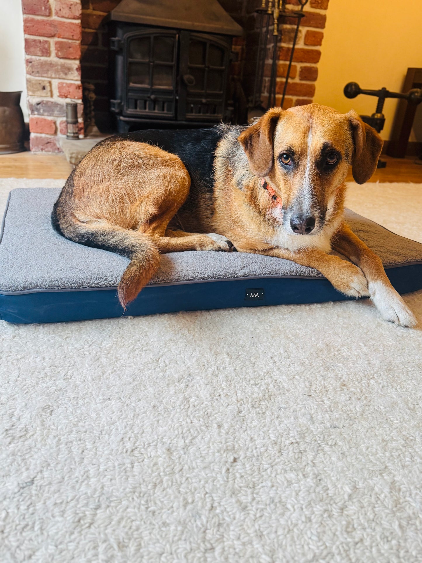 Memory Foam Dog  Bed With Water Resistant Mattress Cover
