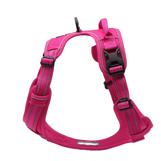 Truelove Butterfly Y Shaped Harness (Standard).