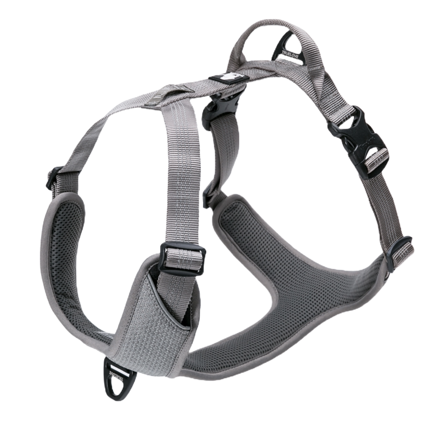 Cat Eye Light reflective harness