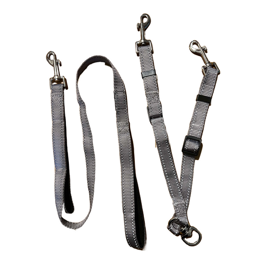 Small Dog 2 handled lead with  split lead attachment