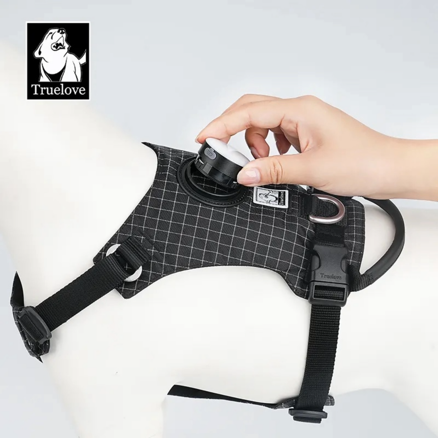 Dog Harness with LED light and tracker holder