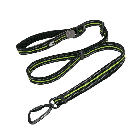 Length Adjuster lead with carabiner clip