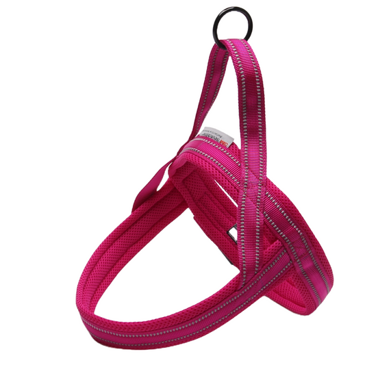 One buckle, soft and  padded harness with light reflective stitching.