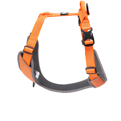 Cat Eye Light reflective harness