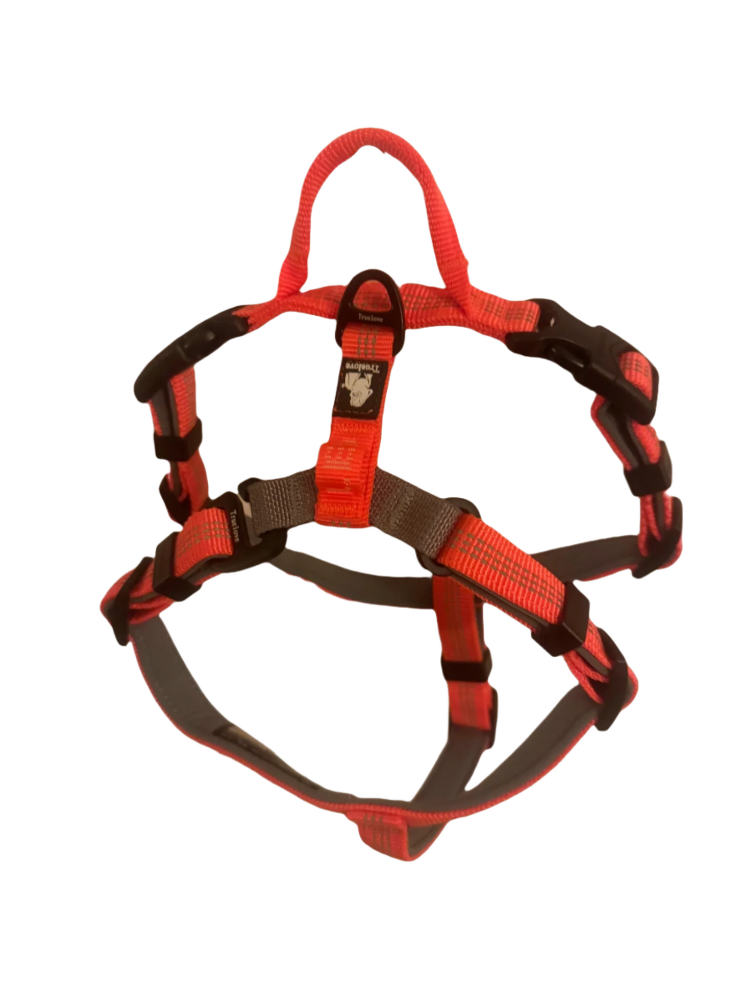 Light reflective harness with neck opening