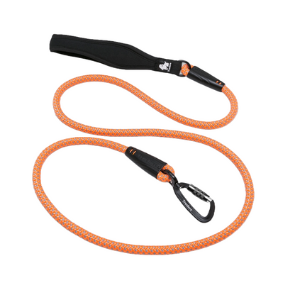 1.8M ( 6ft) Lead with carabiner safety clip