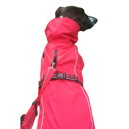 A.A.A. raincoat with top and front harness openings