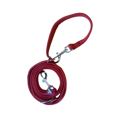 A.A.A. Double clip Training lead with movable rings