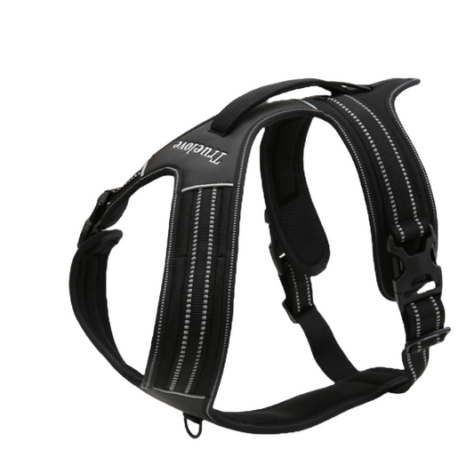 Front Runner Strong Harness