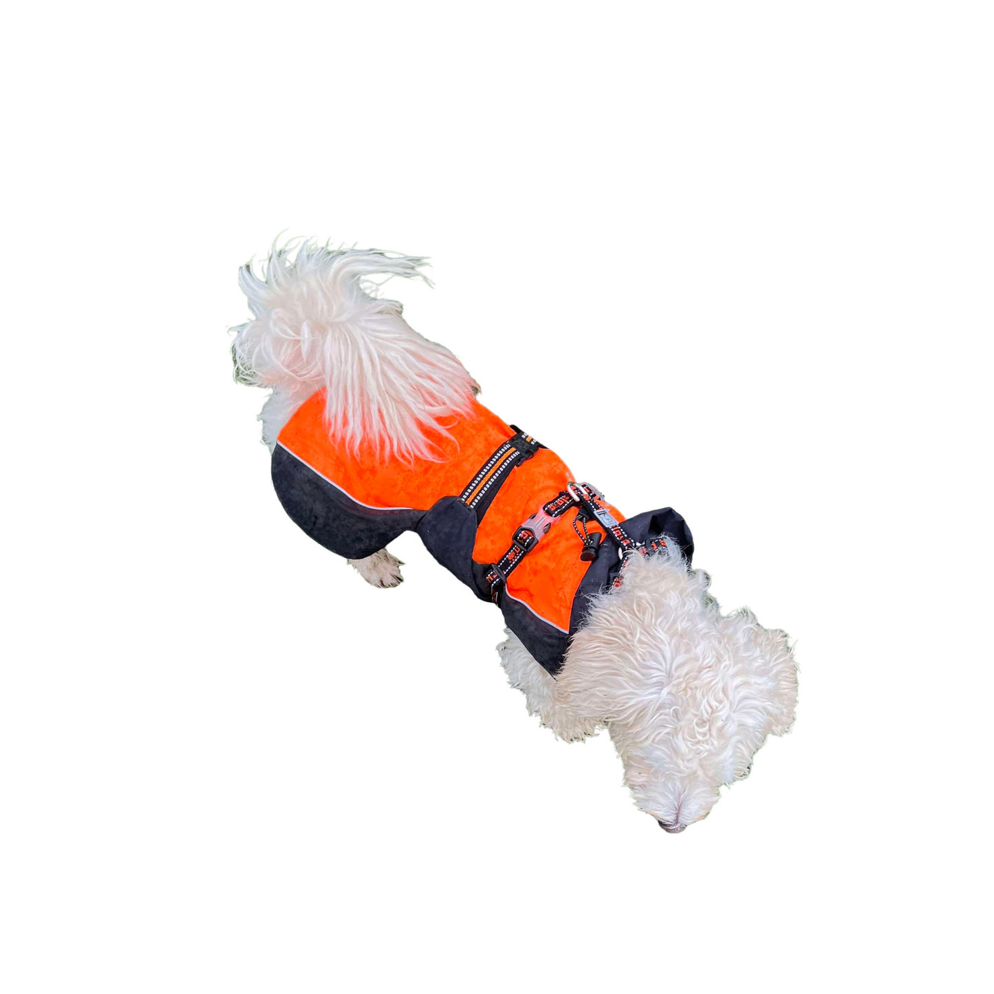 SINGLE STRAP DOG HARNESS - SMALL