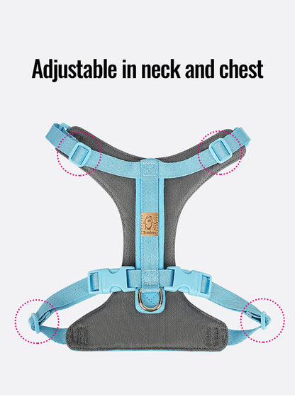 Dog Harness, Bag and Lead set