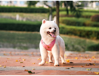 Dog Harness, Bag and Lead set