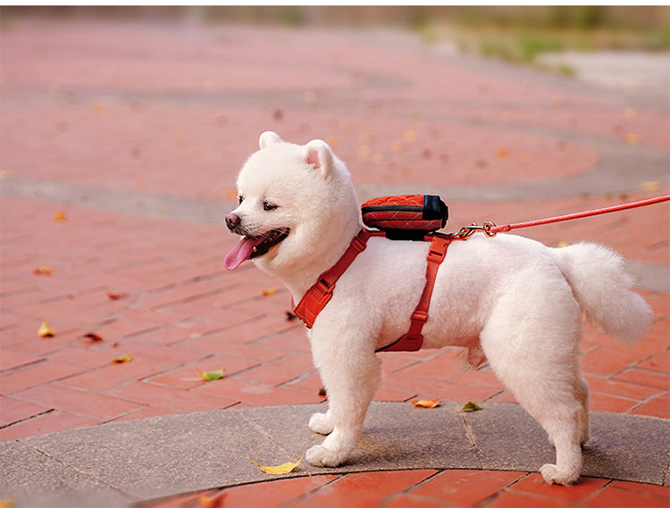 Dog Harness, Bag and Lead set