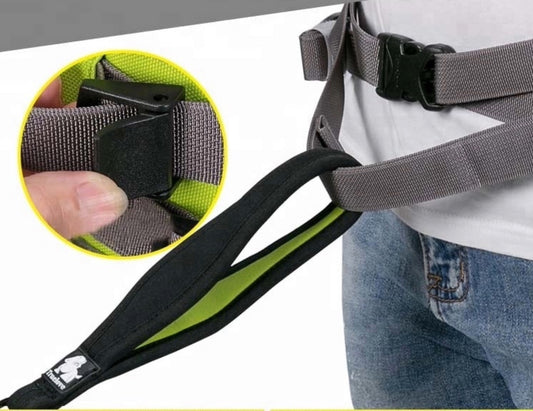 Dog Walking Belt