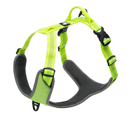 Cat Eye Light reflective harness