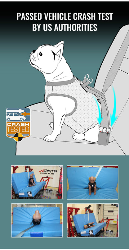 Dog Car Safety Harness - Crash Tested